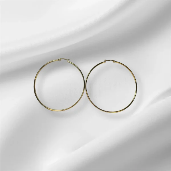 Large Gold Stainless Steel Hoop Earrings